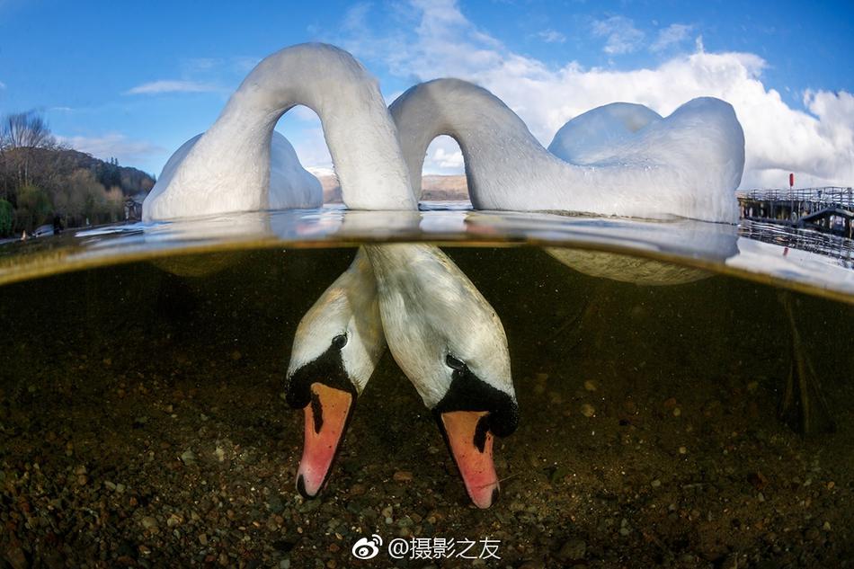 动漫裸体秘 无遮挡屁股