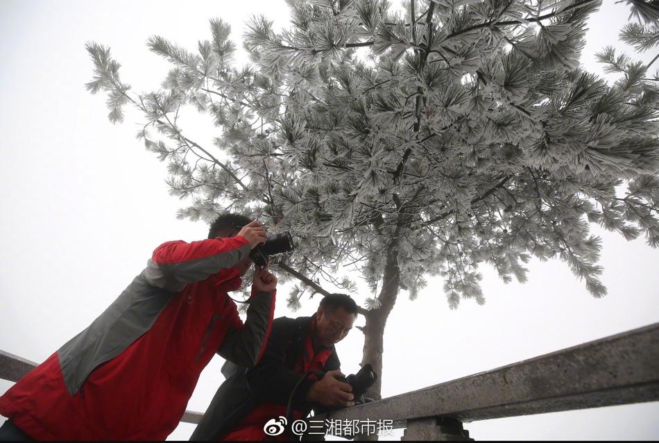 办公室撕开奶罩 吮奶明星