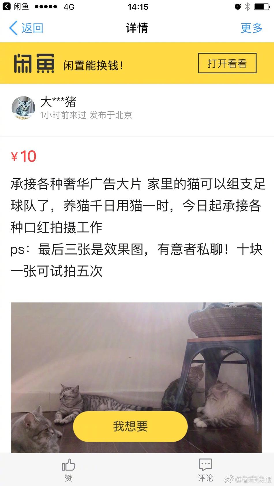 成人 视频 动漫
