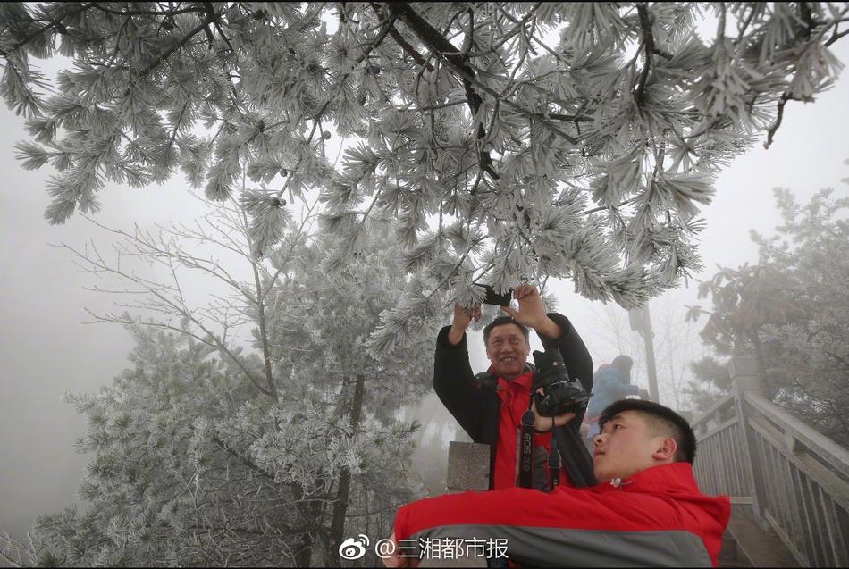 免费看成年人网站