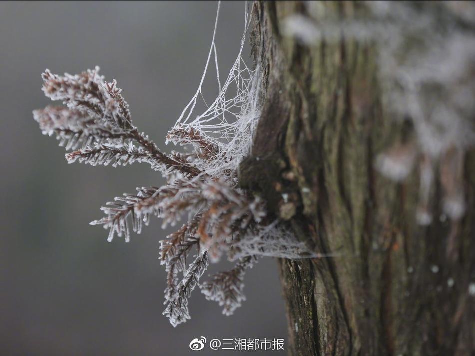 免费一级片