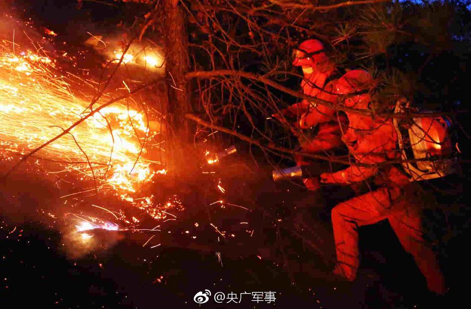 欧美又粗又长