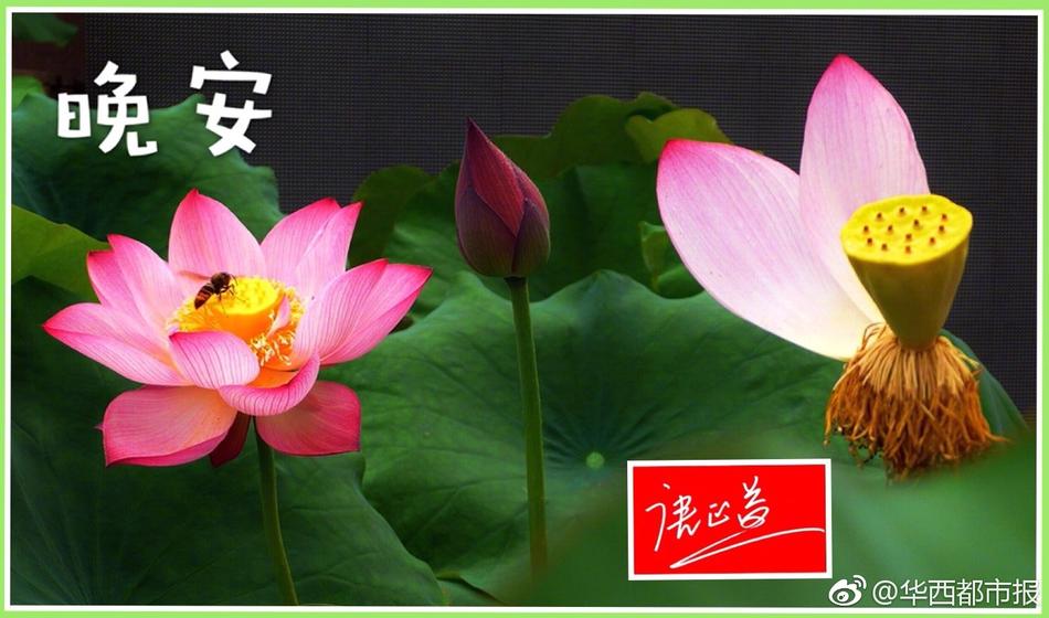 黑幫