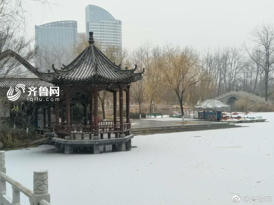 少妇免费直播