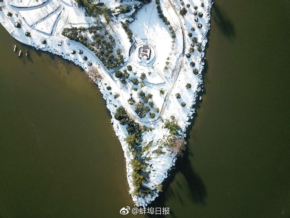 黄色免费网页
