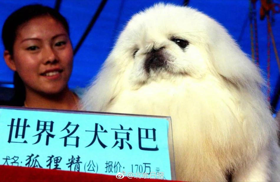 免费黄色视频直接看