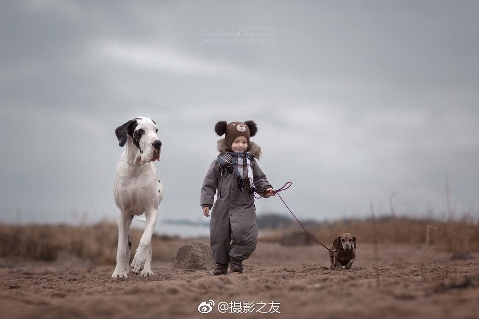 一级片免费