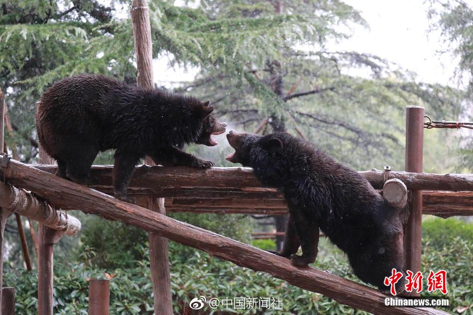 国语中文版三级黄色片