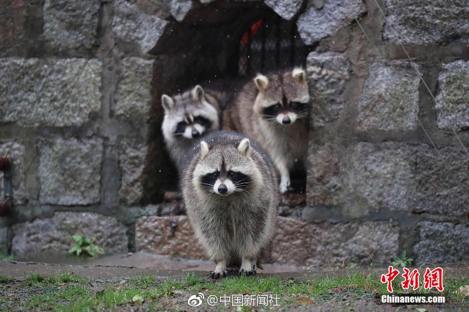 麻豆传媒直播APP下载