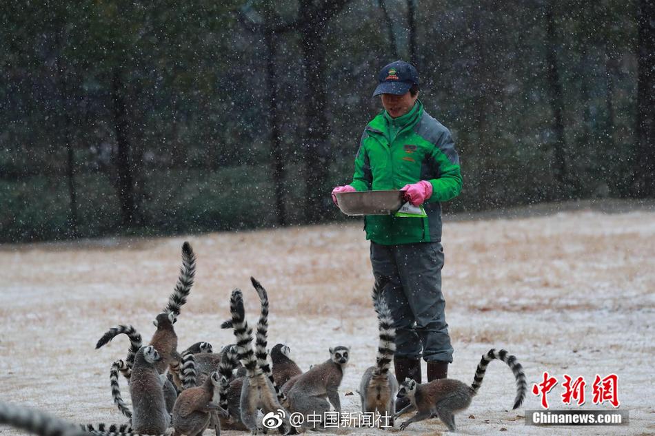 办公室撕开奶罩 吮奶明星