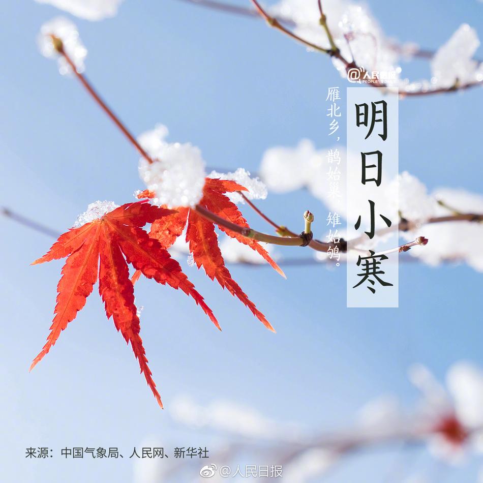 Av 網站 中文