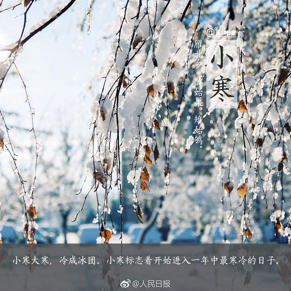 国产 Free Hd Xxxx Thbe