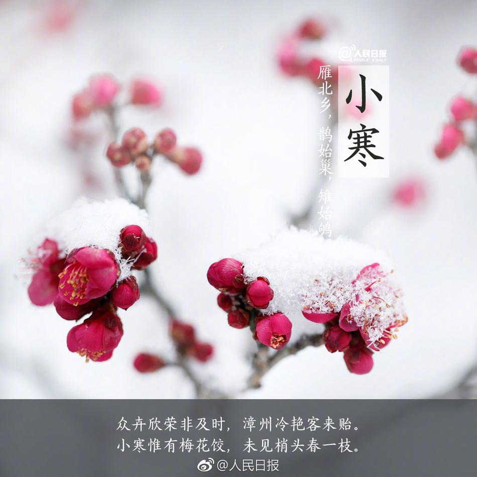揉我奶 啊 嗯高潮了老公