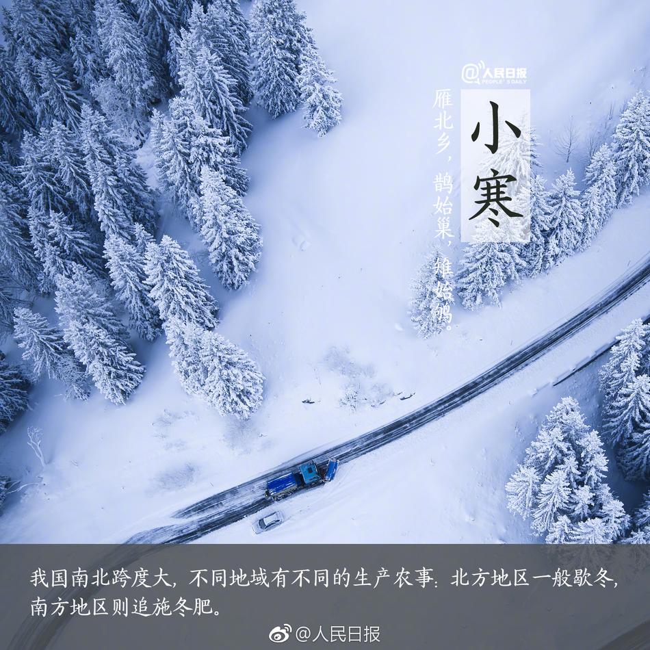 三级黄色孕妇性爱