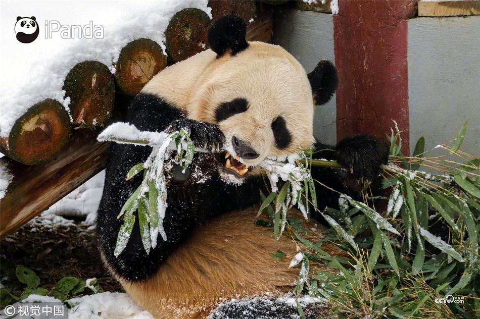 我解开胸罩喂男朋友吃奶