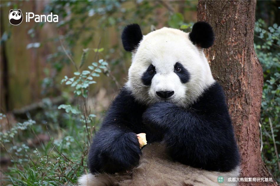 黄色网站视频在线观看