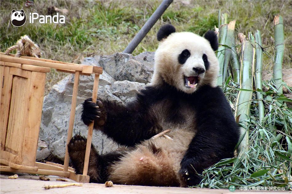 Chinese国产Avvideoxxxx实拍 - Yananghua Limited-Liability