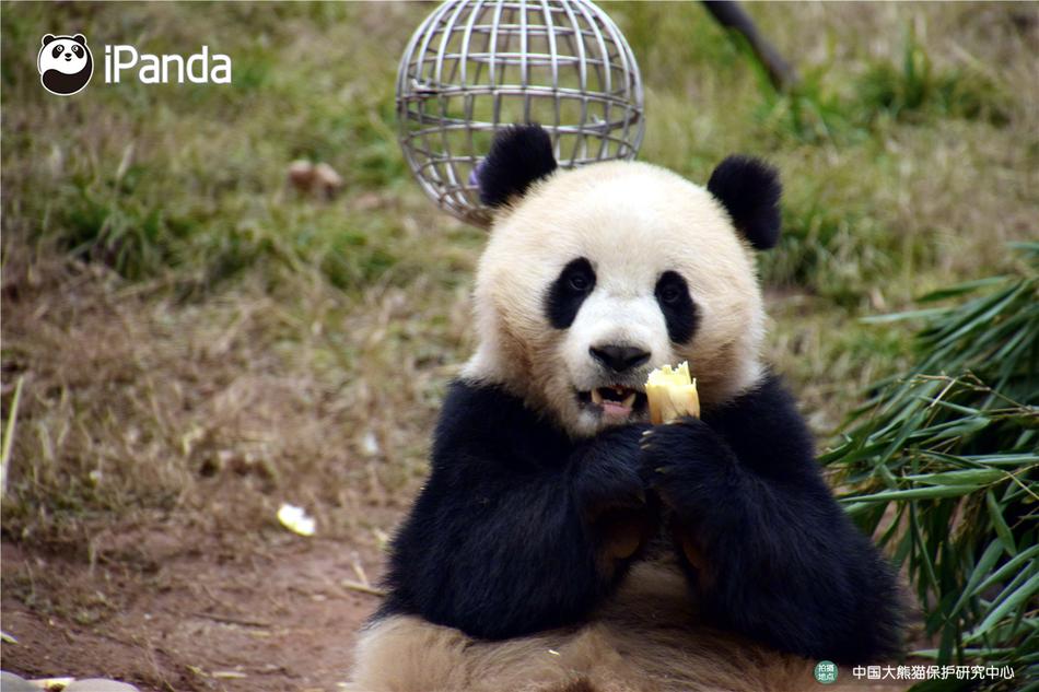 成人 情 色 网站