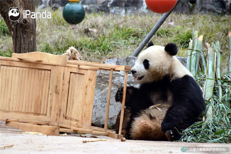 成品人直播APP下载杏仁视频