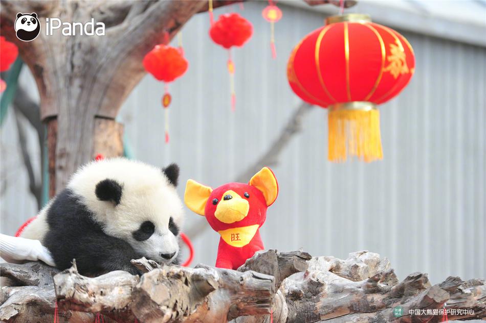 偷窥自拍激情综合网站
