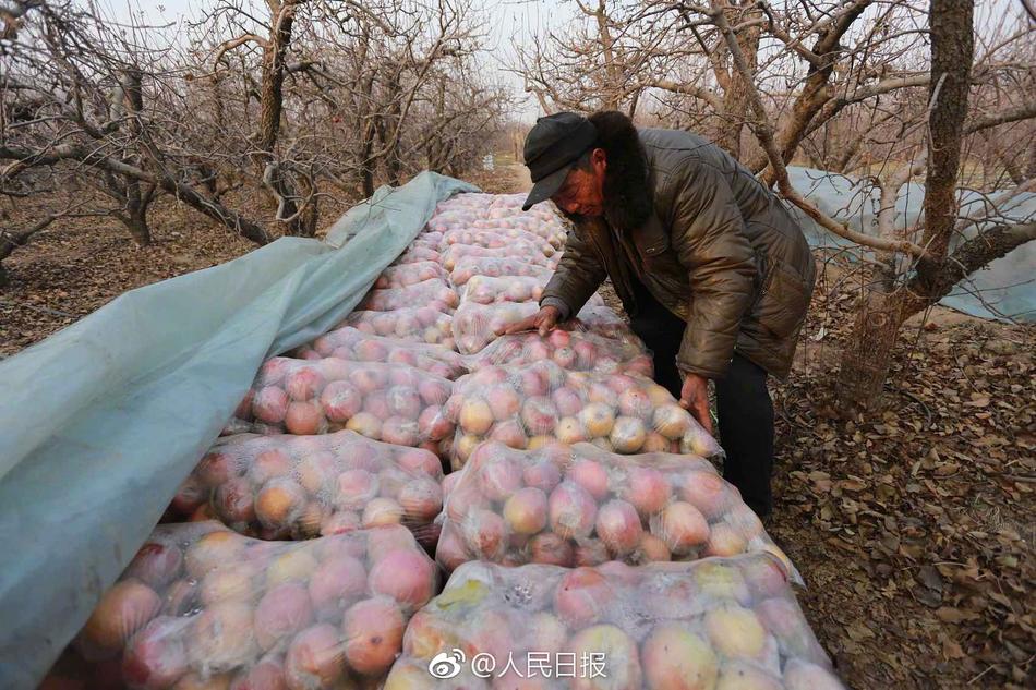 麻豆导航