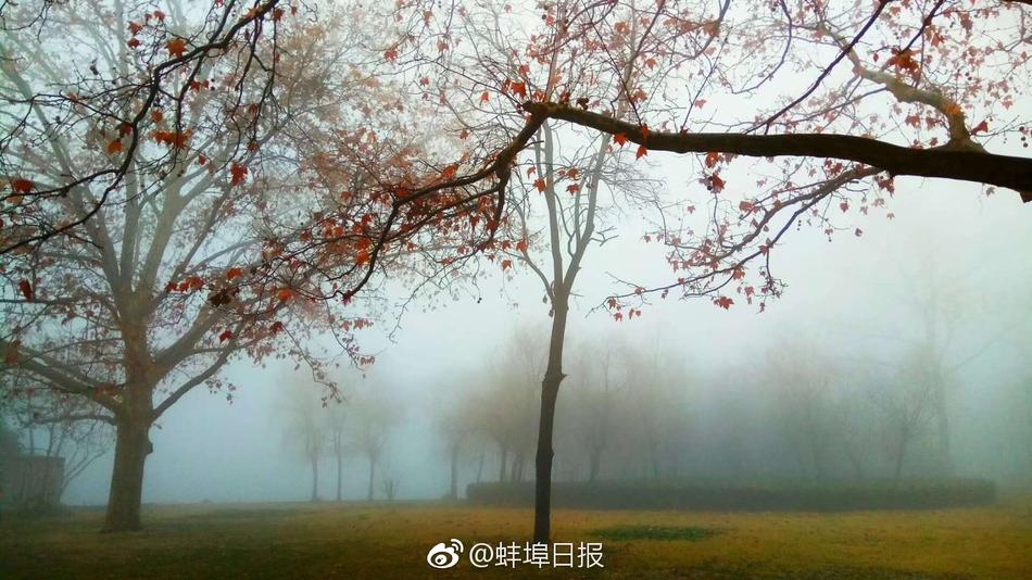 白丝校花自慰