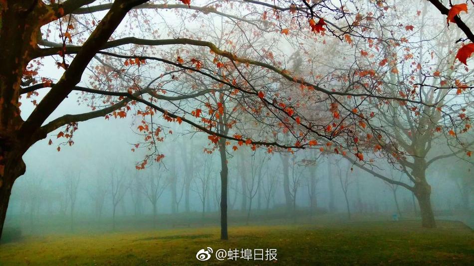 中国高区黄色网站三级处理