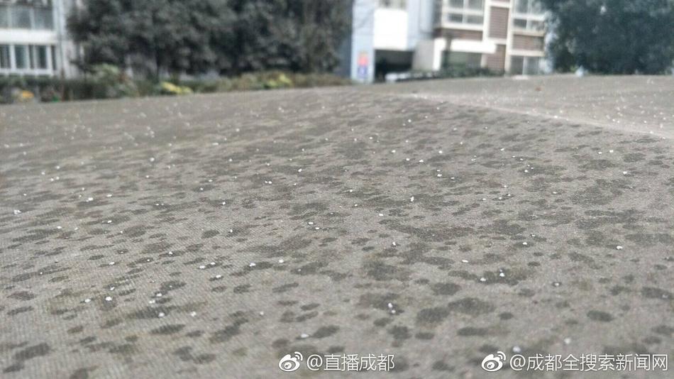 AAA级毛片