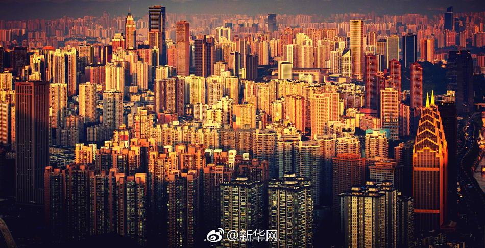 三浦惠理子性爱