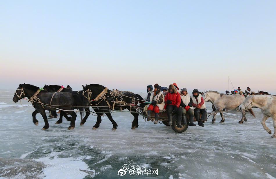 鲍鱼直播