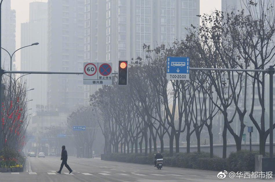 欧美黄色网站色视频