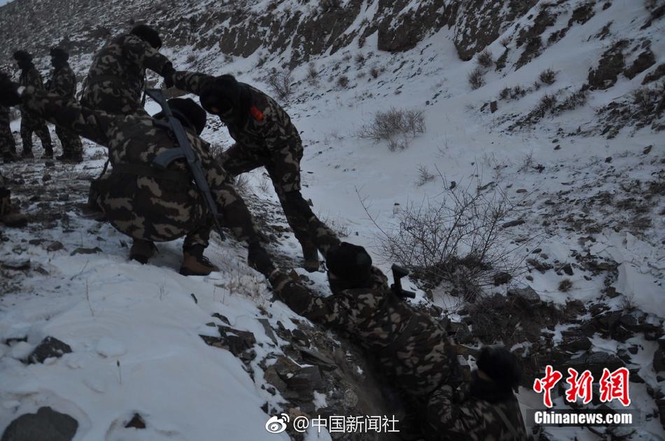 崔雪莉