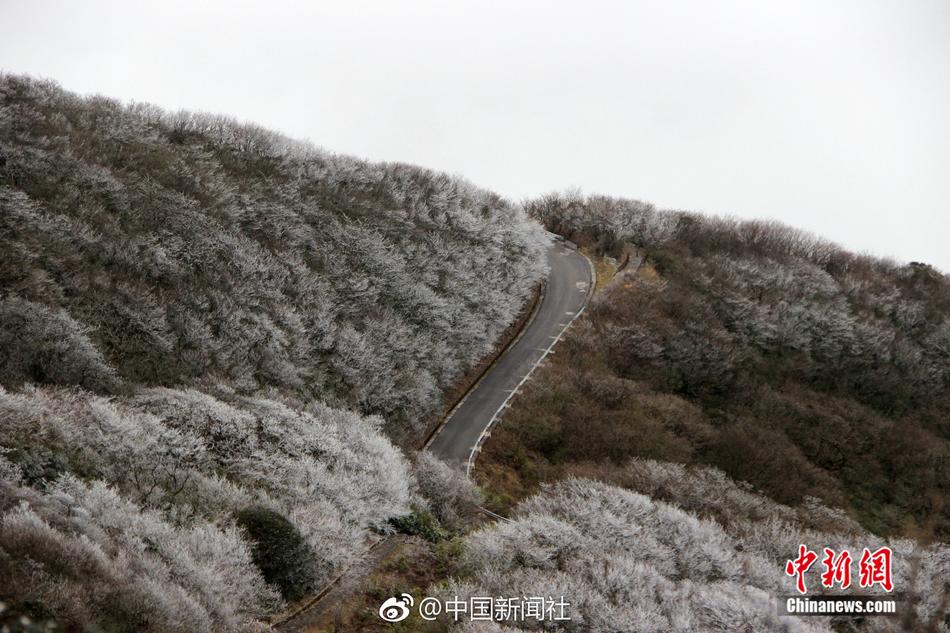 黄片,免费下