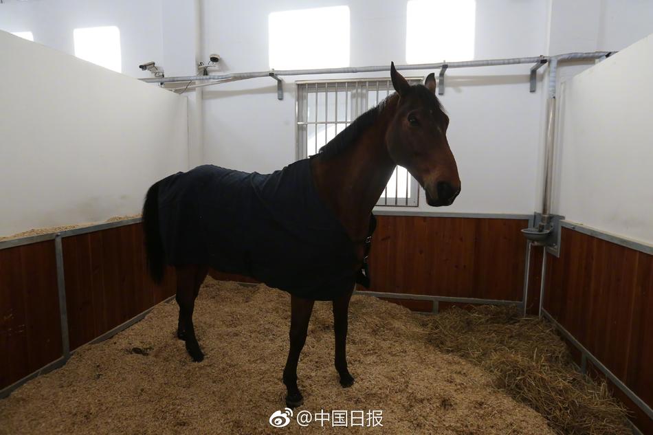 欧美A三级