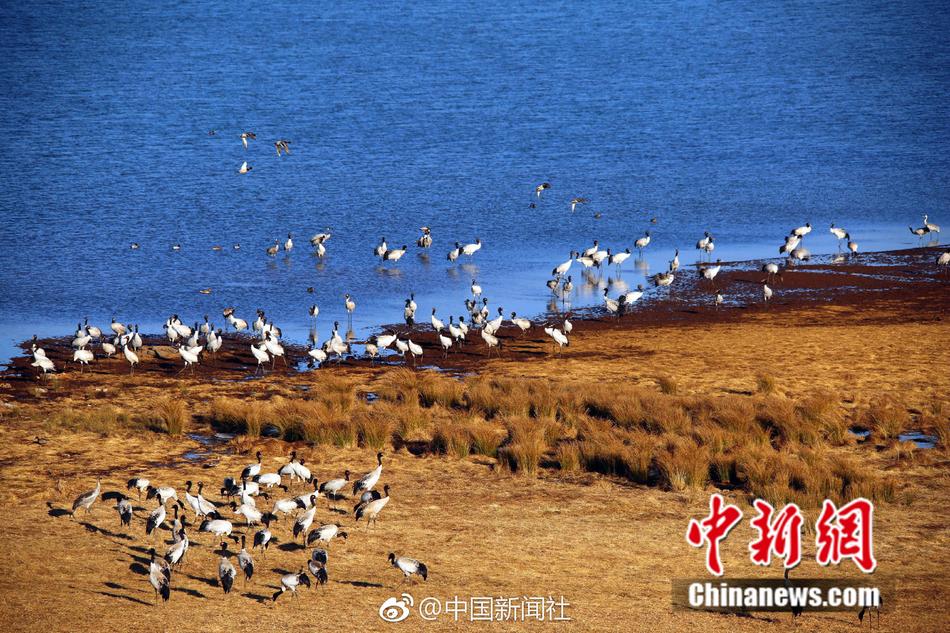 亚洲在线一区