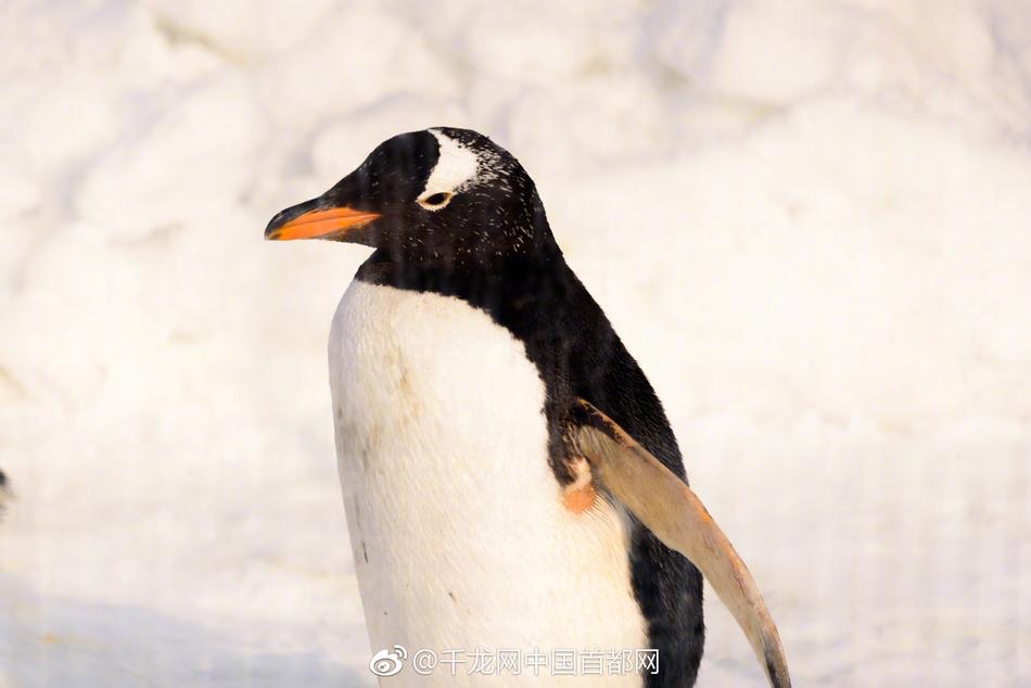 璩美鳳辦公室