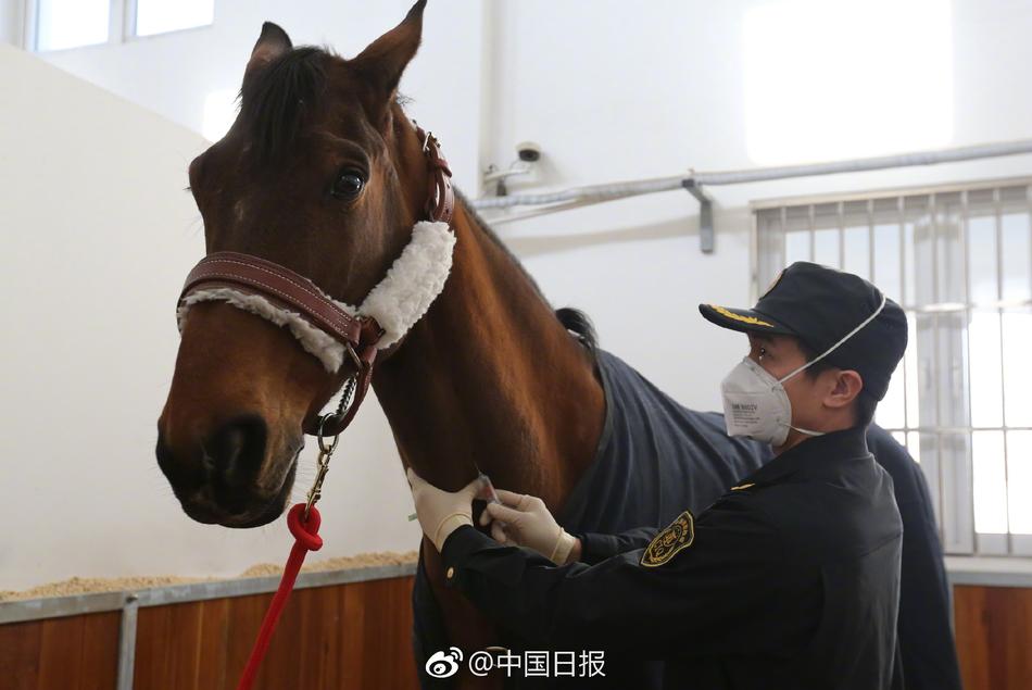 国产日韩欧美一区二区