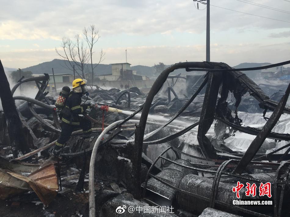 免费无码毛片一区二区APP