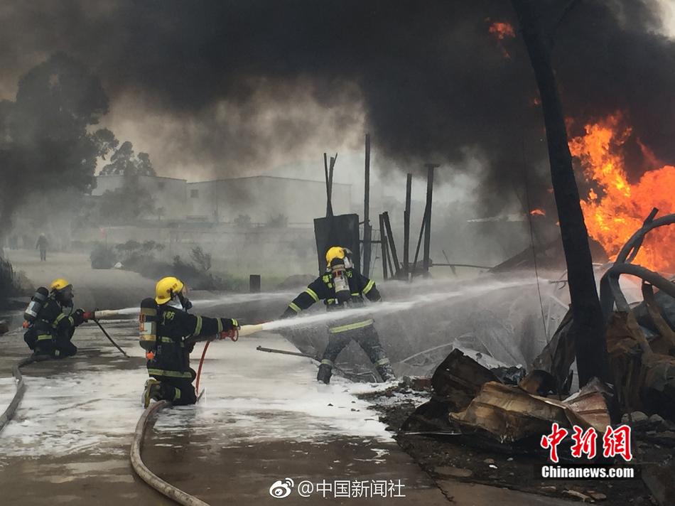 三人成全免费观看电视剧高清