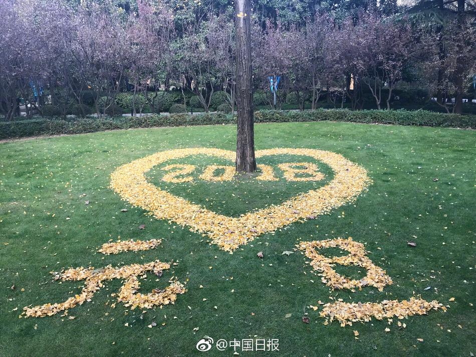 成人 在线 免费