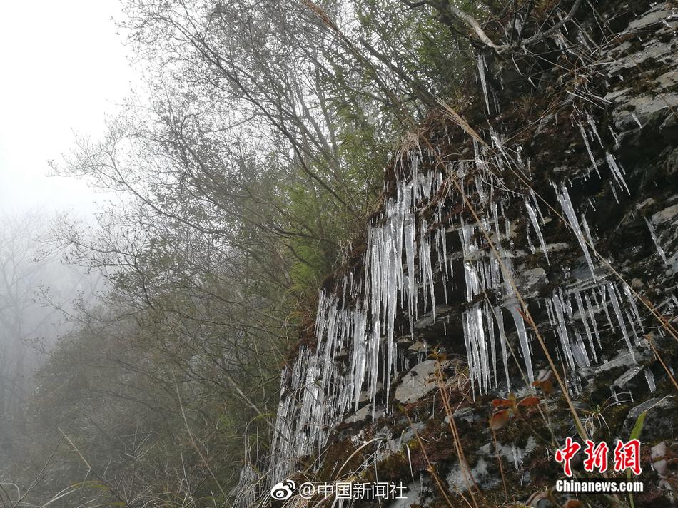 一级黄色生活片