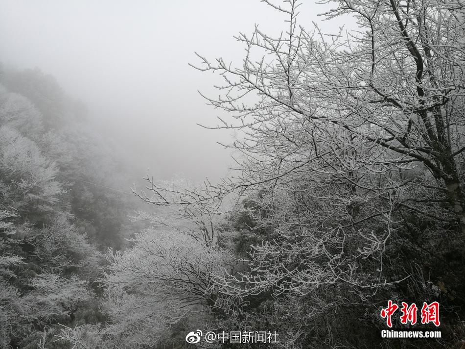 最新 成人 短 片