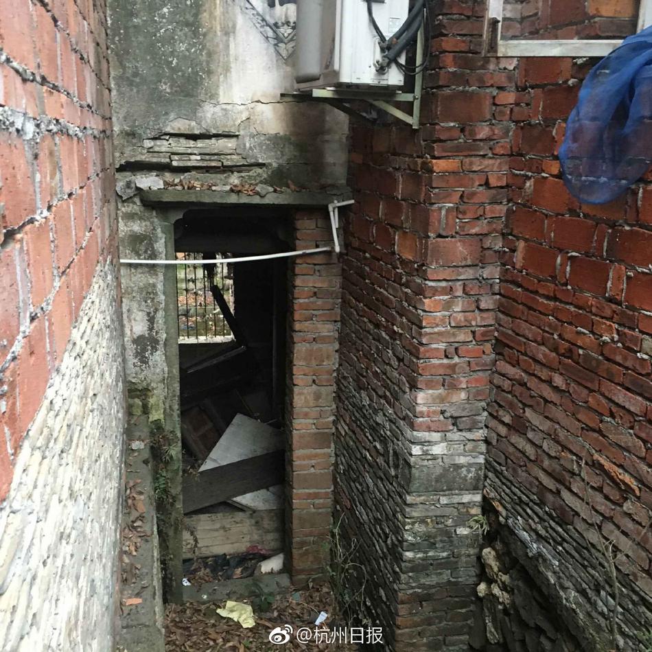 黄片无码高清在线