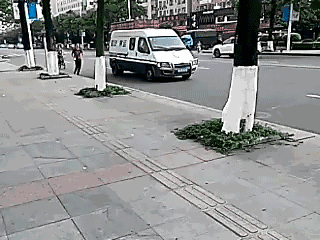 夫妻性毛片无码一及毛片