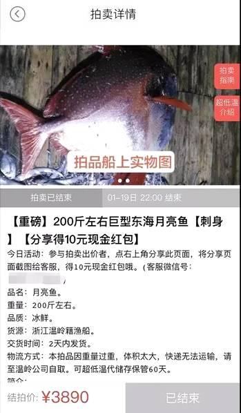 空少开菊Gay男男