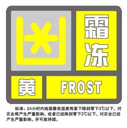 丰满肥婆Xxxx