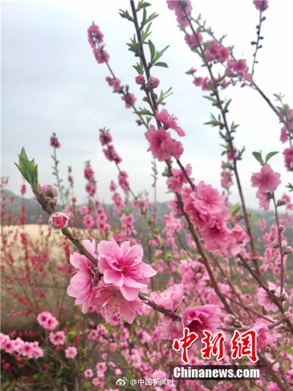 禁片乱伦韩国