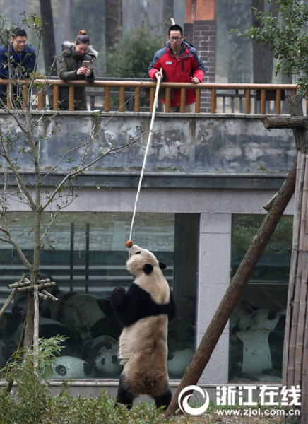 91精品国产乱码久久久久