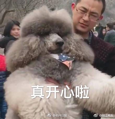 好看的黄片免费的黄片