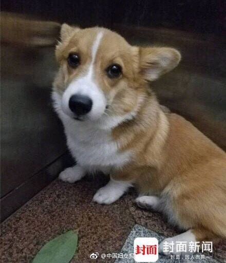 桶烂 30分钟真人